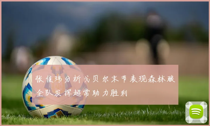 张佳玮分析戈贝尔末节表现森林狼全队发挥超常助力胜利