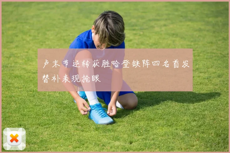 卢末节逆转获胜哈登缺阵四名首发替补表现抢眼