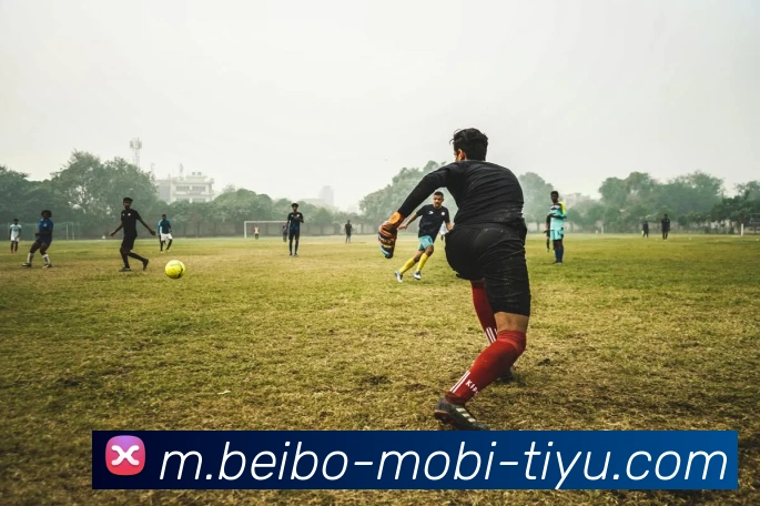 贝博体育APP 体育赛事宣传图